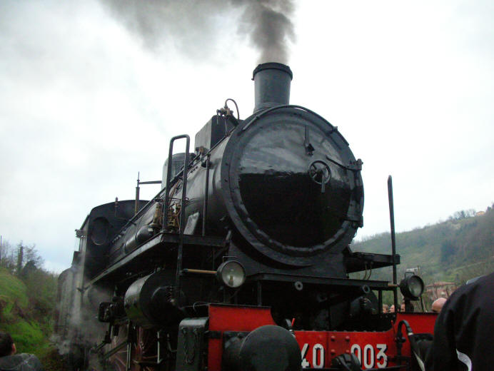 Trenonatura steam train