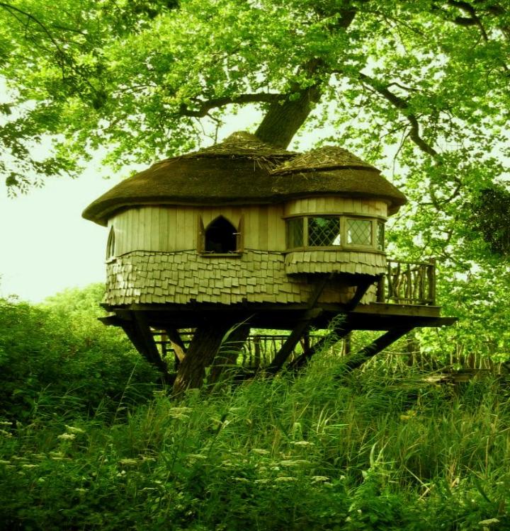 africa Tree-House
