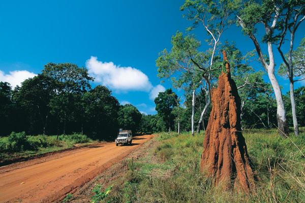 Hop on the top Queensland tours 