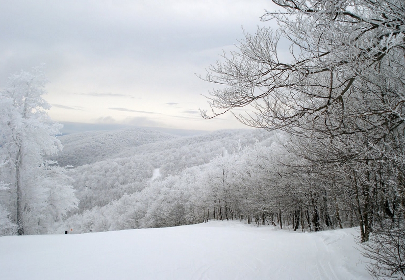 The Catskill Mountains Winter