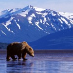 Perfect Alaska Vacations for Every Season