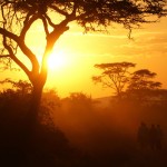discovering uganda