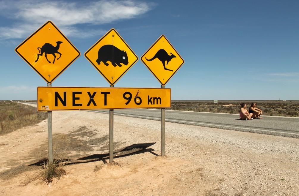 i travel around australia on highway number one